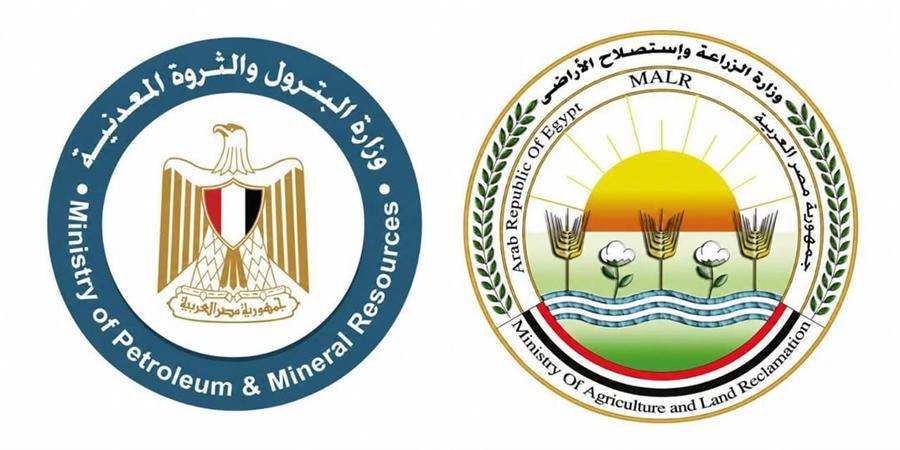 الزراعة والبترول تنفيان خفض إمدادات الأسمدة المدعمة اعتبارًا من أغسطس
